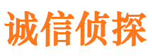 成华市侦探调查公司